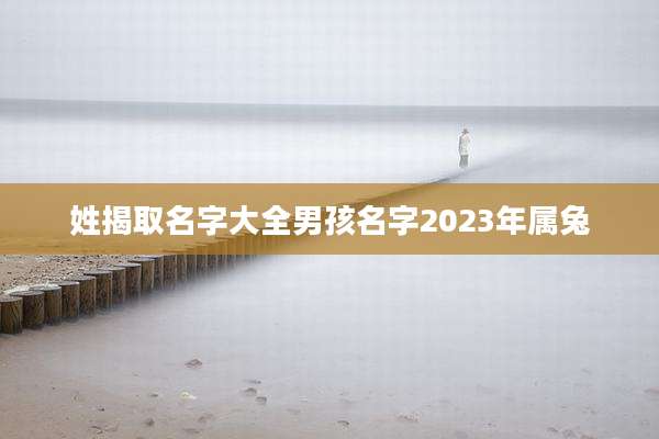 姓揭取名字大全男孩名字2023年属兔
