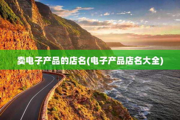 卖电子产品的店名(电子产品店名大全)