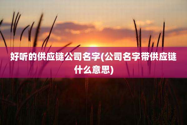 好听的供应链公司名字(公司名字带供应链什么意思)