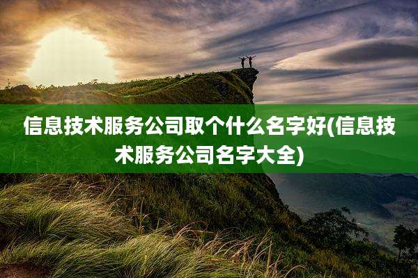 信息技术服务公司取个什么名字好(信息技术服务公司名字大全)
