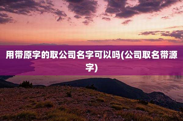 用带原字的取公司名字可以吗(公司取名带源字)