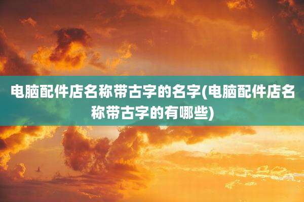 电脑配件店名称带古字的名字(电脑配件店名称带古字的有哪些)