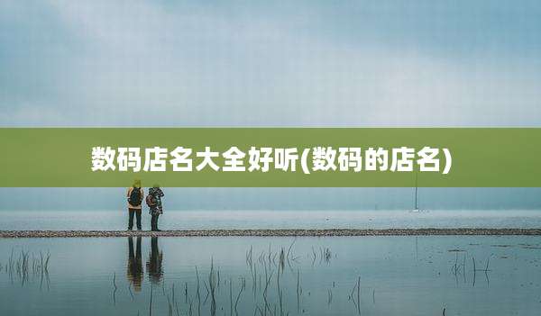 数码店名大全好听(数码的店名)