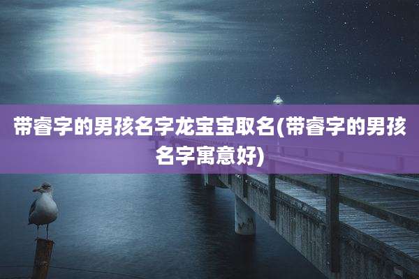 带睿字的男孩名字龙宝宝取名(带睿字的男孩名字寓意好)