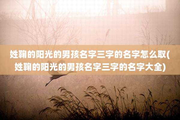 姓鞠的阳光的男孩名字三字的名字怎么取(姓鞠的阳光的男孩名字三字的名字大全)