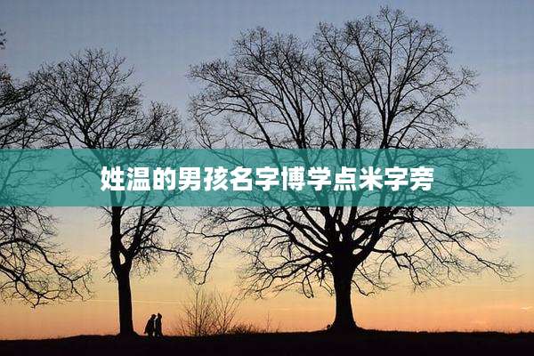 姓温的男孩名字博学点米字旁