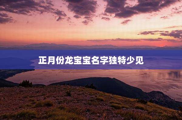 正月份龙宝宝名字独特少见