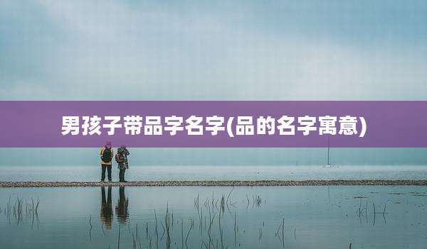 男孩子带品字名字(品的名字寓意)