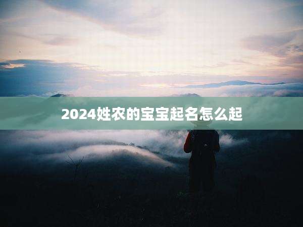 2024姓农的宝宝起名怎么起