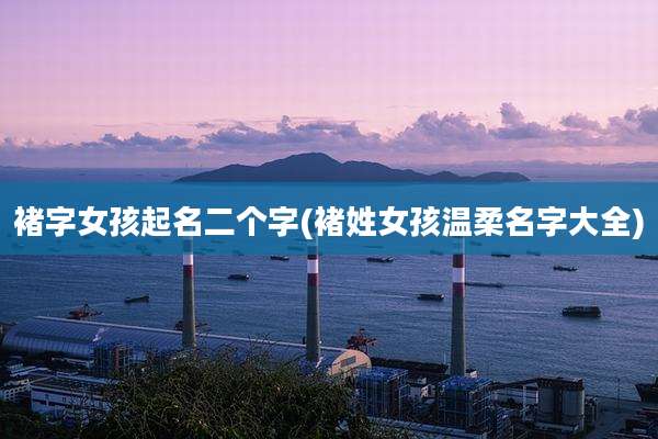 褚字女孩起名二个字(褚姓女孩温柔名字大全)