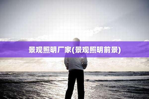 景观照明厂家(景观照明前景)