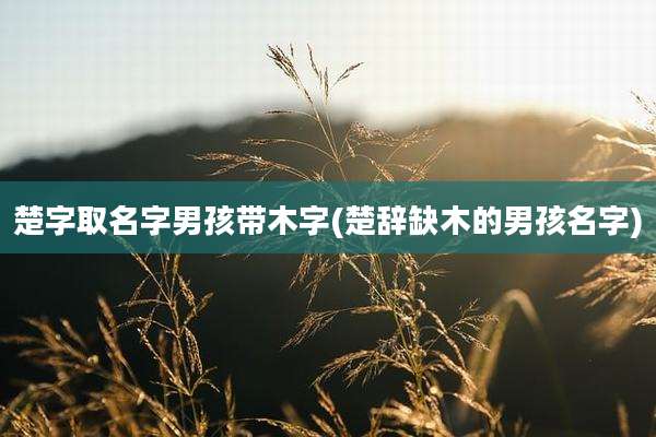 楚字取名字男孩带木字(楚辞缺木的男孩名字)