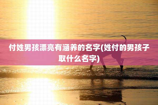 付姓男孩漂亮有涵养的名字(姓付的男孩子取什么名字)