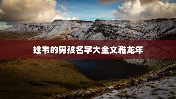 姓韦的男孩名字大全文雅龙年