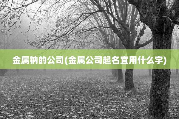 金属钠的公司(金属公司起名宜用什么字)