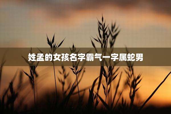 姓孟的女孩名字霸气一字属蛇男