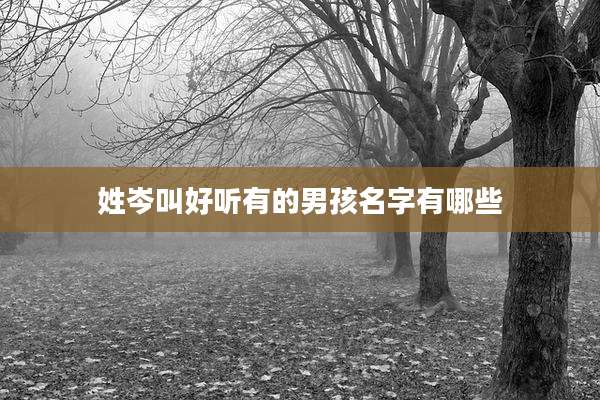 姓岑叫好听有的男孩名字有哪些
