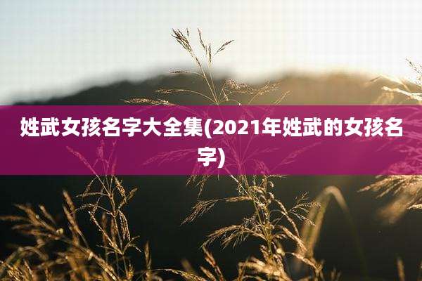 姓武女孩名字大全集(2021年姓武的女孩名字)