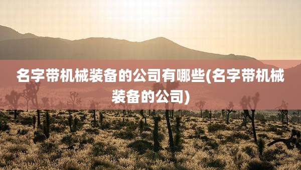 名字带机械装备的公司有哪些(名字带机械装备的公司)