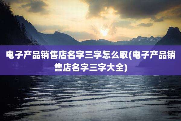 电子产品销售店名字三字怎么取(电子产品销售店名字三字大全)