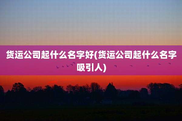 货运公司起什么名字好(货运公司起什么名字吸引人)