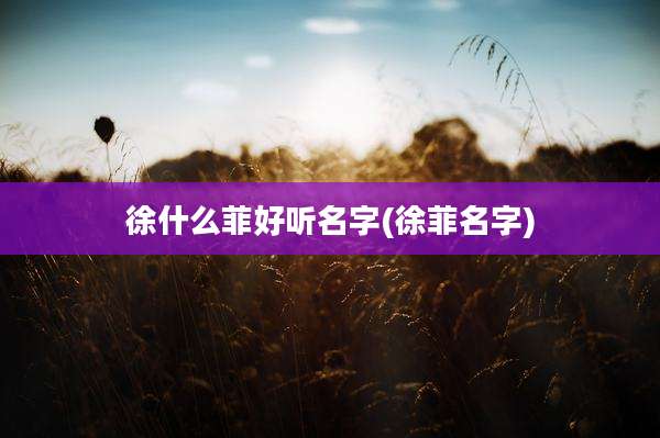 徐什么菲好听名字(徐菲名字)