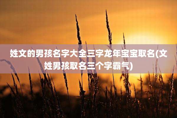 姓文的男孩名字大全三字龙年宝宝取名(文姓男孩取名三个字霸气)