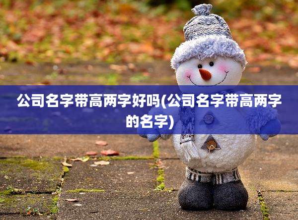公司名字带高两字好吗(公司名字带高两字的名字)