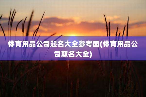 体育用品公司起名大全参考图(体育用品公司取名大全)