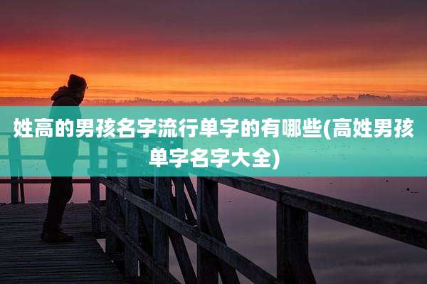 姓高的男孩名字流行单字的有哪些(高姓男孩单字名字大全)