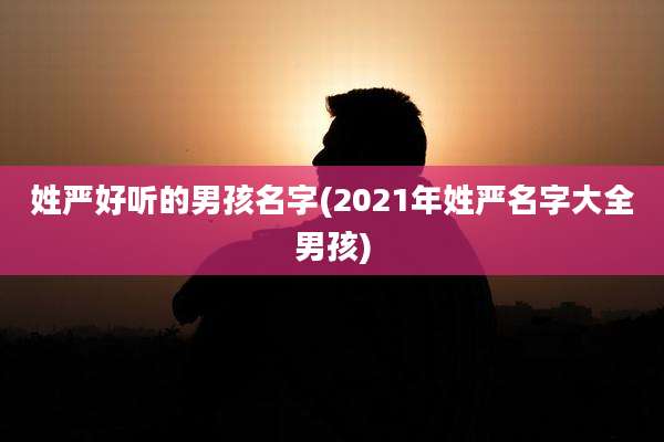 姓严好听的男孩名字(2021年姓严名字大全男孩)