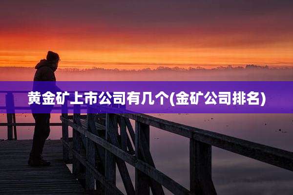 黄金矿上市公司有几个(金矿公司排名)