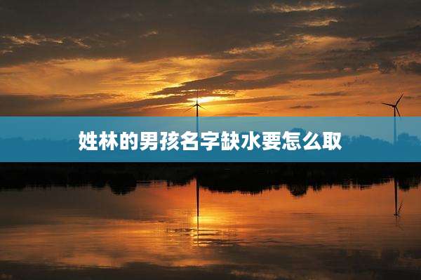 姓林的男孩名字缺水要怎么取