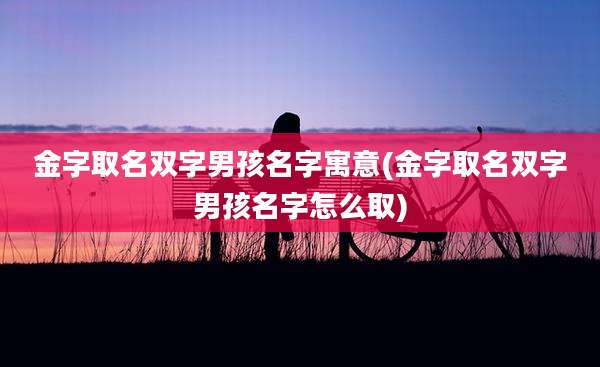 金字取名双字男孩名字寓意(金字取名双字男孩名字怎么取)