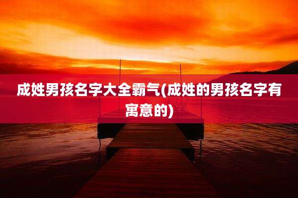成姓男孩名字大全霸气(成姓的男孩名字有寓意的)