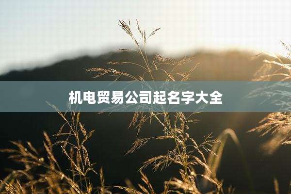 机电贸易公司起名字大全