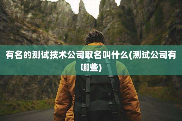 有名的测试技术公司取名叫什么(测试公司有哪些)