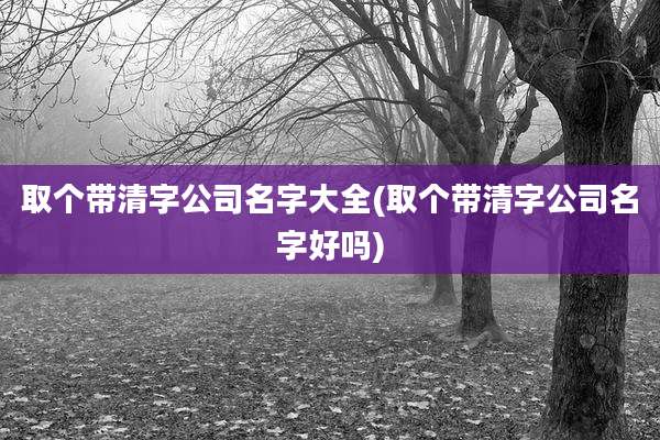 取个带清字公司名字大全(取个带清字公司名字好吗)