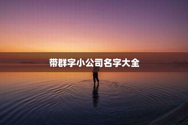带群字小公司名字大全