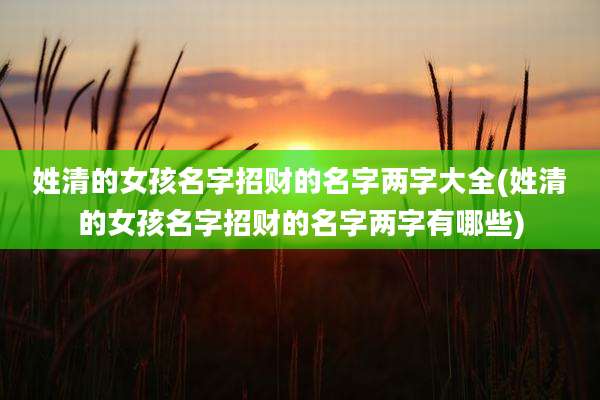 姓清的女孩名字招财的名字两字大全(姓清的女孩名字招财的名字两字有哪些)