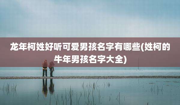 龙年柯姓好听可爱男孩名字有哪些(姓柯的牛年男孩名字大全)