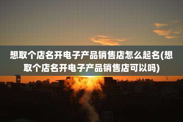 想取个店名开电子产品销售店怎么起名(想取个店名开电子产品销售店可以吗)