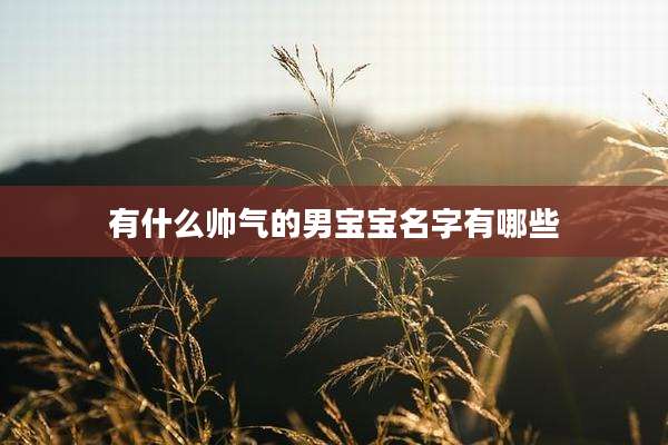 有什么帅气的男宝宝名字有哪些