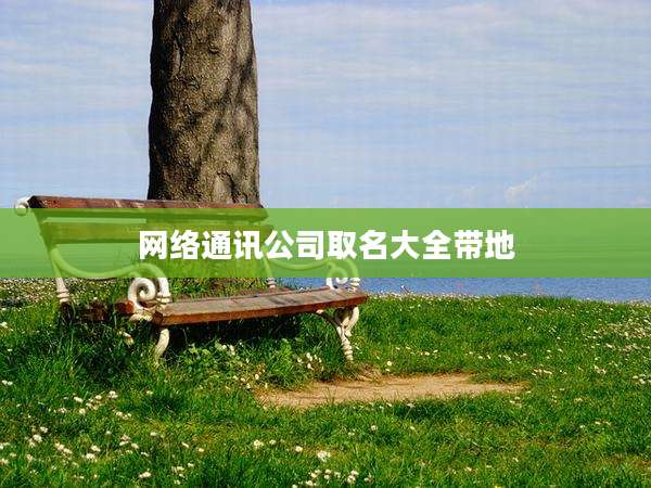网络通讯公司取名大全带地