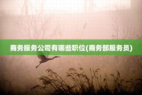 商务服务公司有哪些职位(商务部服务员)