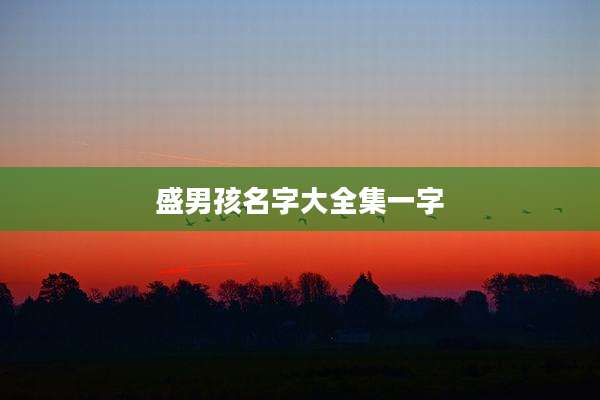 盛男孩名字大全集一字