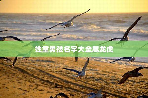 姓童男孩名字大全属龙虎