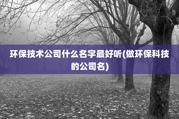 环保技术公司什么名字最好听(做环保科技的公司名)