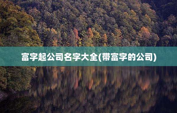 富字起公司名字大全(带富字的公司)