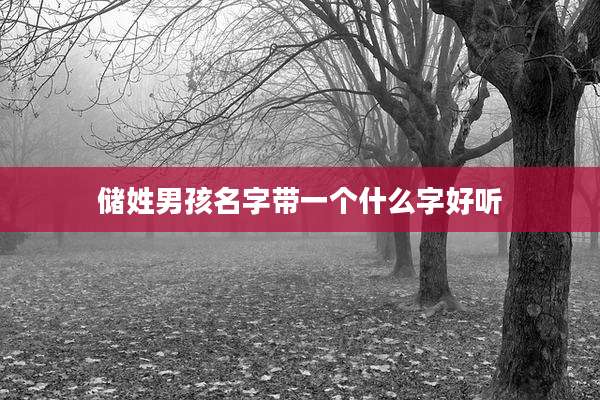 储姓男孩名字带一个什么字好听